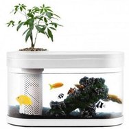 Уценка Аква-ферма Xiaomi Descriptive Geometry C180 Smart Fish Tank Pro (8л.) (повреждена упаковка)