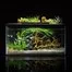 Аква-ферма Xiaomi PETKIT Origin Intelligent Fish Tank-Single Tank 4