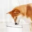 Поилка дозатор воды для животных Xiaomi Kitten Puppy Automatic water dispenser for animals MG-WF001A 5
