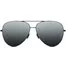 Солнцезащитные очки Xiaomi Turok Steinhardt Sunglasses TS101-2 DMU4008RT SM005-0220 2