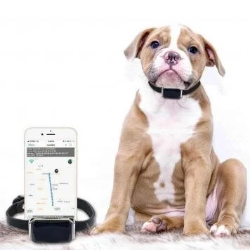 Gps трекер для собак и кошек 3