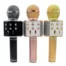 karaoke-mikrofon-Wster-WS-858-Original-ALL-356x356-2