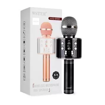 karaoke-mikrofon-Wster-WS-858-Original-Black-3-356x356-a