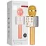 Караоке-микрофон Wster WS-858 Original Gold 2