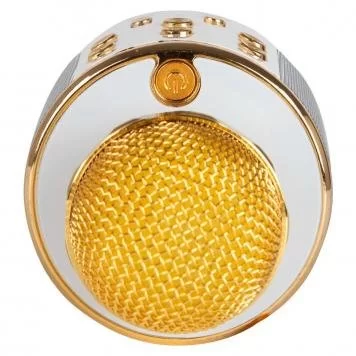 Караоке-микрофон Wster WS-858 Original Gold 4