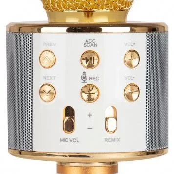 Караоке-микрофон Wster WS-858 Original Gold 6