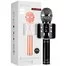 Караоке-микрофон Wster WS-858 Original Black 1
