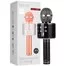 Караоке-микрофон Wster WS-858 Original Black 2