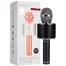 Караоке-микрофон Wster WS-858 Original Black 3