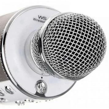 Микрофон серебряный WS-858 3