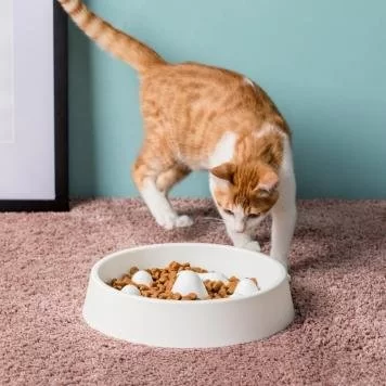 Миска для домашних животных Xiaomi Jordan Judy Pet Slow Bowl Beige PE017 3