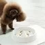 Миска для домашних животных Xiaomi Jordan Judy Pet Slow Bowl Beige PE017 4