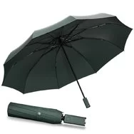 Зонт Xiaomi Mi Zuodu Umbrella Smart LedLight Green