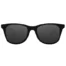 Солнцезащитные очки Xiaomi Turok Steinhardt Hipster Traveler Black STR004-0120 1