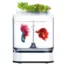 akva-ferma-Xiaomi-Descriptive-Geometry-Mini-Lazy-Fish-Tank-Pro-C300-1
