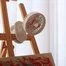 Портативный вентилятор Xiaomi Sothing Bridal Bouquet Shaking Head Fan DSHJ-S-2114A беж 2