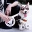 Поводок для собак Xiaomi Moestar UFO Pet Leash 2 Air бел 3