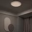 Лампа потолочная Xiaomi Yeelight Arwen Ceiling Light 450C White YLXD013-B 3