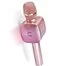 Karaoke-Microphone-Wireless-handheld-ktv-Microphone-L668.jpg_350x350