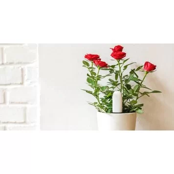 xiaomi_flora_monitor_11