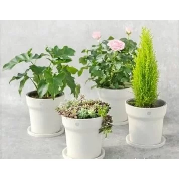 pvm_MIJIA smart flower pot__17350_1490618819