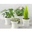 pvm_MIJIA smart flower pot__17350_1490618819