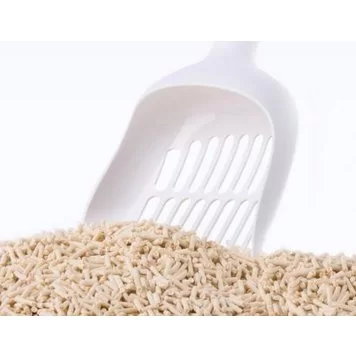 HTB17Je7XLfsK1RjSszgq6yXzpXaB