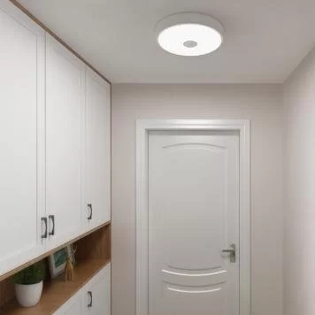 xiaomi-yeelight-meteorite-induction-led-ceiling-light-mini-2.1000x1000