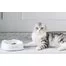 Умная миска PETKIT Smart Weighing Bowl 3