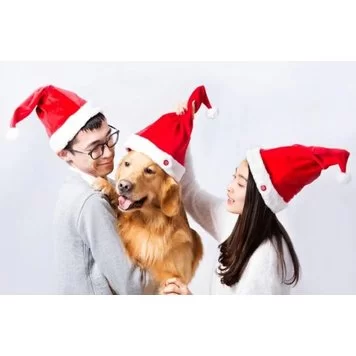 Аннотация 2019-12-19 124811