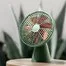 Портативный вентилятор Xiaomi Youpin SOTHING Silent Rainforest Mini Fan DSHJ-S-1907 2