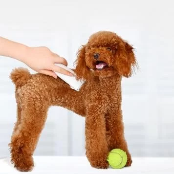 Машинка для стрижки собак Xiaomi Pawbby Pet Shaver MG-HC001 4