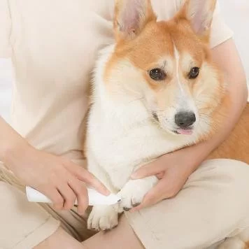 Триммер для питомцев Xiaomi Pawbby Dog Cat Local Shaver MG-FP001A 2