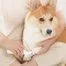 Триммер для питомцев Xiaomi Pawbby Dog Cat Local Shaver MG-FP001A 2
