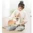 Триммер для питомцев Xiaomi Pawbby Dog Cat Local Shaver MG-FP001A 4