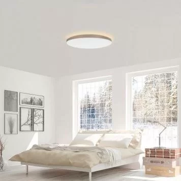 Потолочная лампа Xiaomi Yeelight LED Ceiling Lamp 470mm YLXD50YL 6