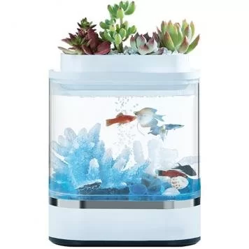 Аква-ферма Xiaomi Descriptive Geometry Mini Lazy Fish Tank HF-JHYG005 1