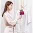 Ручной отпариватель Xiaomi Lofans Handheld Steam Brush GT-302RW 5