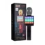 Караоке-микрофон Wster WS-1828 Original Black 2