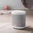 Умная колонка Xiaomi Mi AI Speaker Art 3