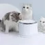 Поилка для животных Xiaomi Furrytail Smart Cat Water Dispenser 5