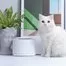 Поилка для животных Xiaomi Furrytail Smart Cat Water Dispenser 6