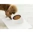 Миска для домашних животных Xiaomi Jordan Judy Pet Bowl JJ-PE0022-1 3