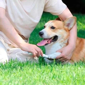 Триммер для когтей домашних животных Xiaomi Pawbby Pet Electric Nail Sharpener MG-NG001A 4