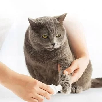 Триммер для когтей домашних животных Xiaomi Pawbby Pet Electric Nail Sharpener MG-NG001A 5
