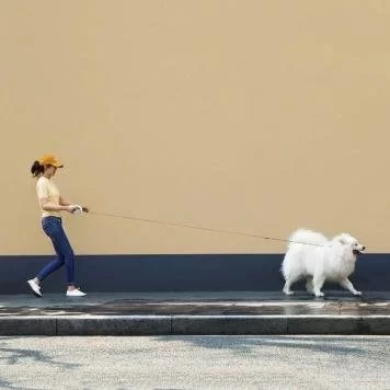 Умный поводок-рулетка для собак Xiaomi UFO Retractable Leash 2 с фонариком type-C Gray 6