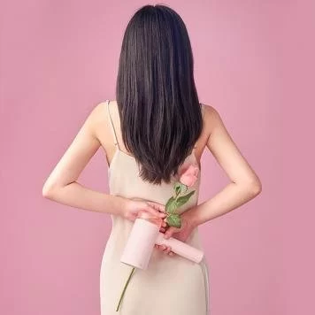 Ручной отпариватель Xiaomi Lofans Long Fei Folding Handheld Hanging Machine GT-313 Pink 4