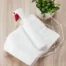 Пульверизатор Xiaomi iCLEAN Spray Bottle YG-01 3